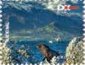 Kaikoura. Sea Lion and View of Bay