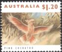 Pink Cockatoo (Lophochroa leadbeateri)