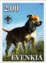 Staffordshire Bull Terrier
