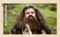Harry Potter - Rubeus Hagrid