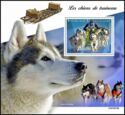 Sled Dogs