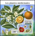 Medicinal Plants
