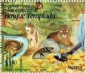 Fauna of the Temperate Forest