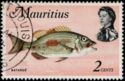 Thumbprint Emperor (Lethrinus harak)