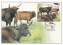 Aurochs (Bos primigenius)