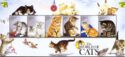 The World of Cats