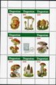 Mushrooms