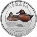 10 Dollars (Ducks of Canada - Cinnamon Teal)