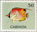 Threadfin butterflyfish (Chaetodon auriga)