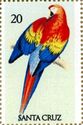 Macaw