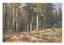 Ivan Shishkin. Mast-tree Grove. 1898