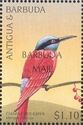 Northern Carmine Bee-eater (Merops nubicus) - Overprinted