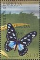Veined Swordtail (Graphium leonidas) - Overprinted