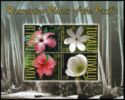 Blossoming Plants of the Pacific mini sheet