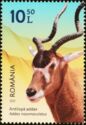 Addax (Addax nasomaculatus)