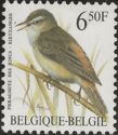 Sedge Warbler (Acrocephalus schoenobaenus)