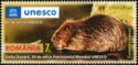 切手:-Eurasian-Beaver-(Castor-fiber)-(ルーマニア)