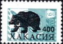 Bear overprint