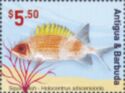 Squirrelfish (Holocentrus adscensionis)