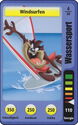 Windsurfen