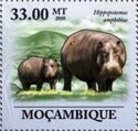 Hippopotamus (Hippopotamus amphibius)