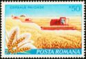 Wheat Farm and Combine Harvesters