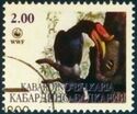 WWF African Animals. Hornbill