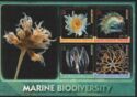 Marine Biodiversity