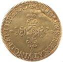 1 Ecu d'or (Charles IX - B - Rouen. No date)