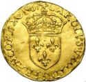 1 Ecu d'or (Charles IX. T - Nantes)