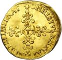 1 Ecu d'or (Charles IX. T - Nantes)