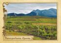 Vineyards of Crimea
