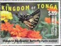Old World Swallowtail Butterfly (Papilio machaon)