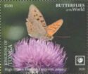 High Brown Fritillary (Argynnis adippe)