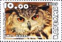 Owls