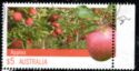 Apples - 5th Reprint - 1 kangaroo