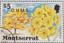 Yellow Poui (Tabebuia rufescens) - Overprinted