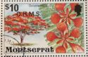 Flamboyant Tree (Delonix regia) - Overprinted