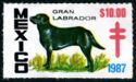 Gran Labrador