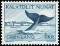 Bowhead Whale (Balaena mysticetus)