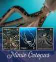 Mimic Octopus (Thaumoctopus mimicus)