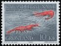 Northern Prawn (Pandalus borealis)