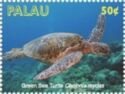 Green Sea Turtle (Chelonia mydas)