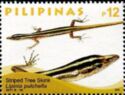 Striped Tree Skink (Lipinia pulchella)