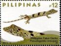 Philippine False Gecko (Pseudogekko brevipes)