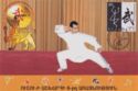 6th World Wushu Championships, Yerevan