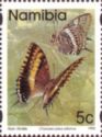 Koppie Charaxes (Charaxes jasius saturnus)