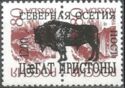 Bison