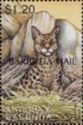 Serval (Felis serval) - Overprinted