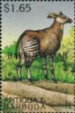 Okapi (Okapia johnstoni) - Overprinted
